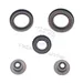 OIL SEAL SET